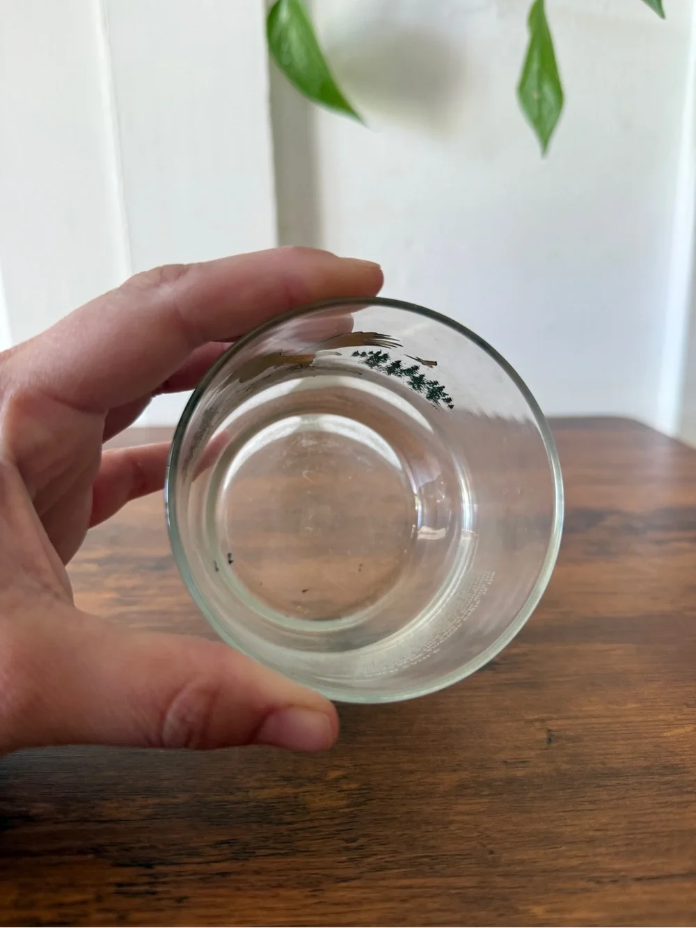 Eagle Glass Tumbler with Forest Scene